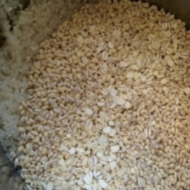 圧力鍋だから浸水無し もち麦ご飯 レシピ 作り方 By アリエルmf666 楽天レシピ